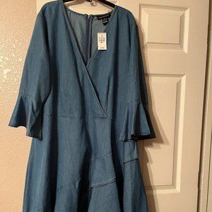 Denim Ruffle Sleeve and Skirt Dress